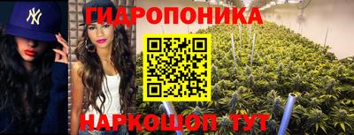хмурый Будённовск