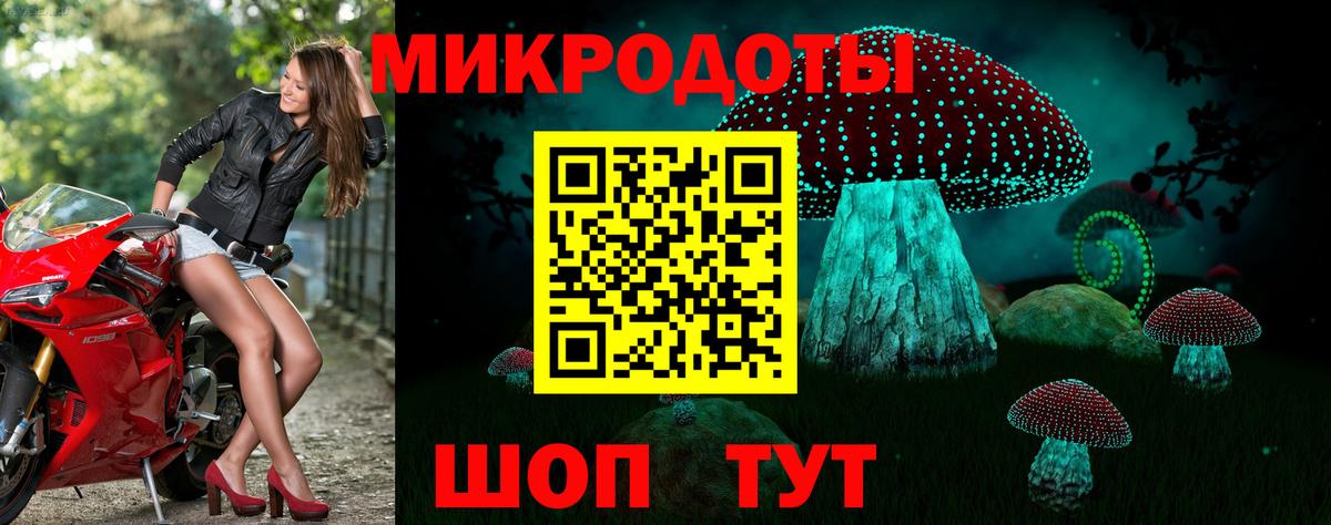 Псилоцибиновые грибы Psilocybine cubensis Партизанск
