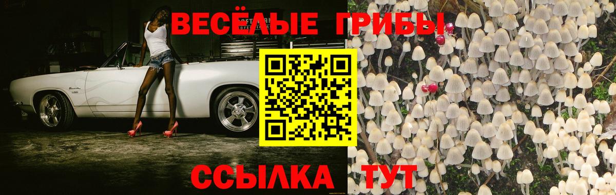 Партизанск  Псилоцибиновые грибы мицелий  Вход с VPN  Галлюциногенные грибы Psilocybine cubensis 
